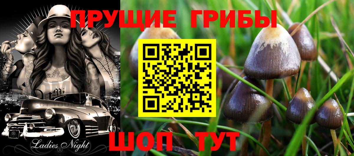 Псилоцибиновые грибы GOLDEN TEACHER  Вход с VPN  Сердобск  Галлюциногенные грибы ЛСД 